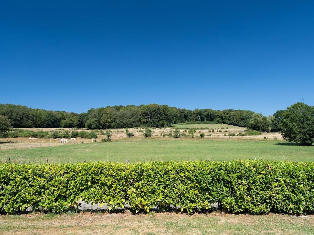 كلاسي هوليداي هوم إن ميكيلين ويذ برايفت تيراس المنطقة الخارجية