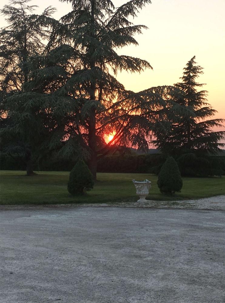 دومين دو بوزلوند بد آند بريكفاست المنطقة المحيطة بالمنشأة