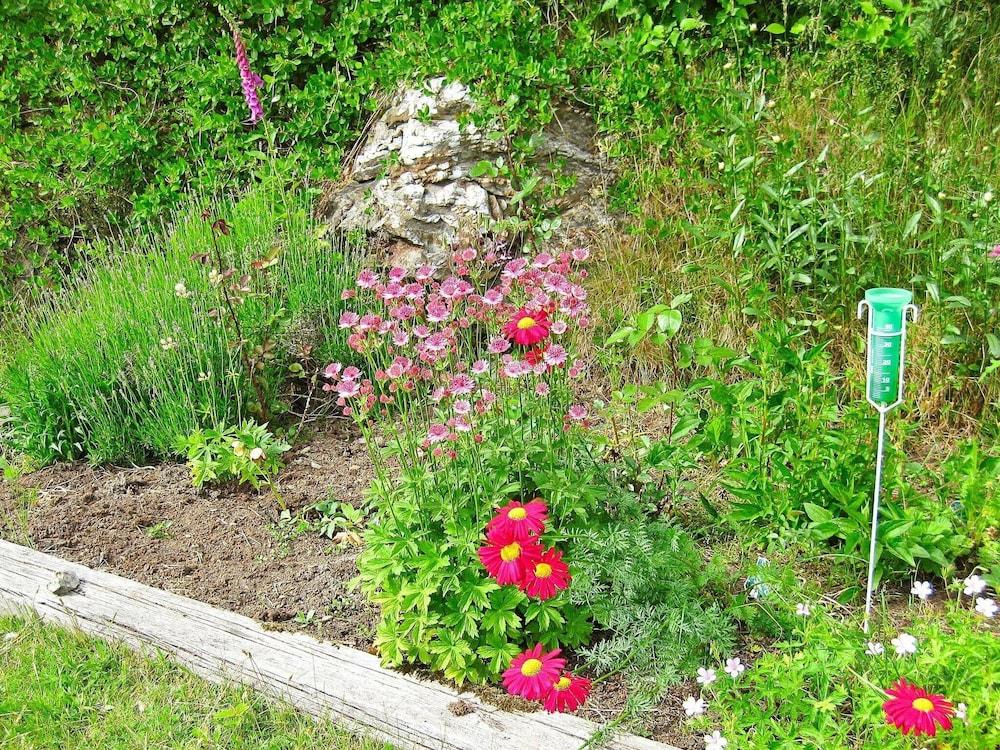 5 بيرسون هوليداي هوم إن فاجرفيل المنطقة المحيطة بالمنشأة