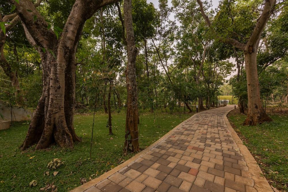 Siri Nature Roost Property Grounds