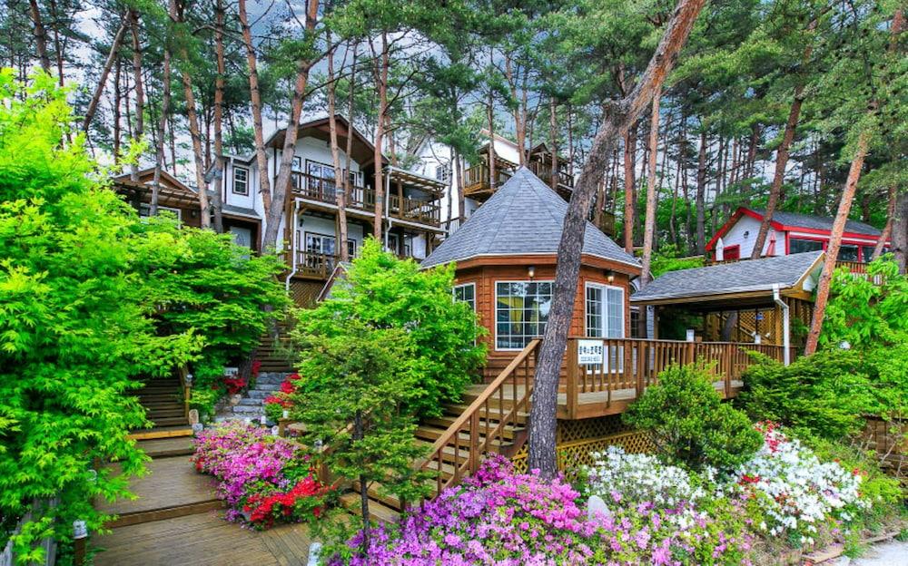 لافرستار إن فوريست بنسيون