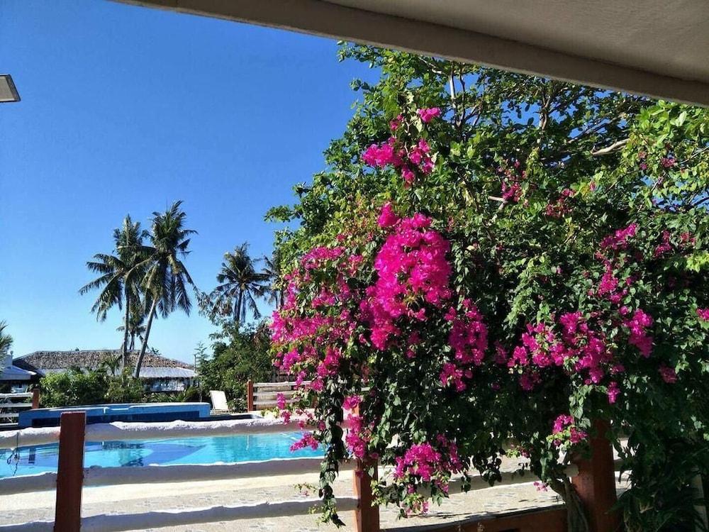Malapascua Beach and Dive Resort Indoor/Outdoor Pool