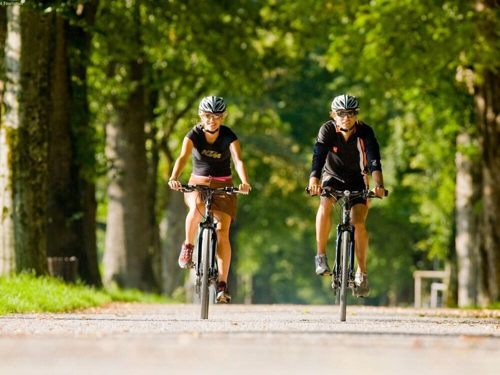 بيسفول شاليه إن تالجاو ويذ ماونتن فيو المنطقة الخارجية