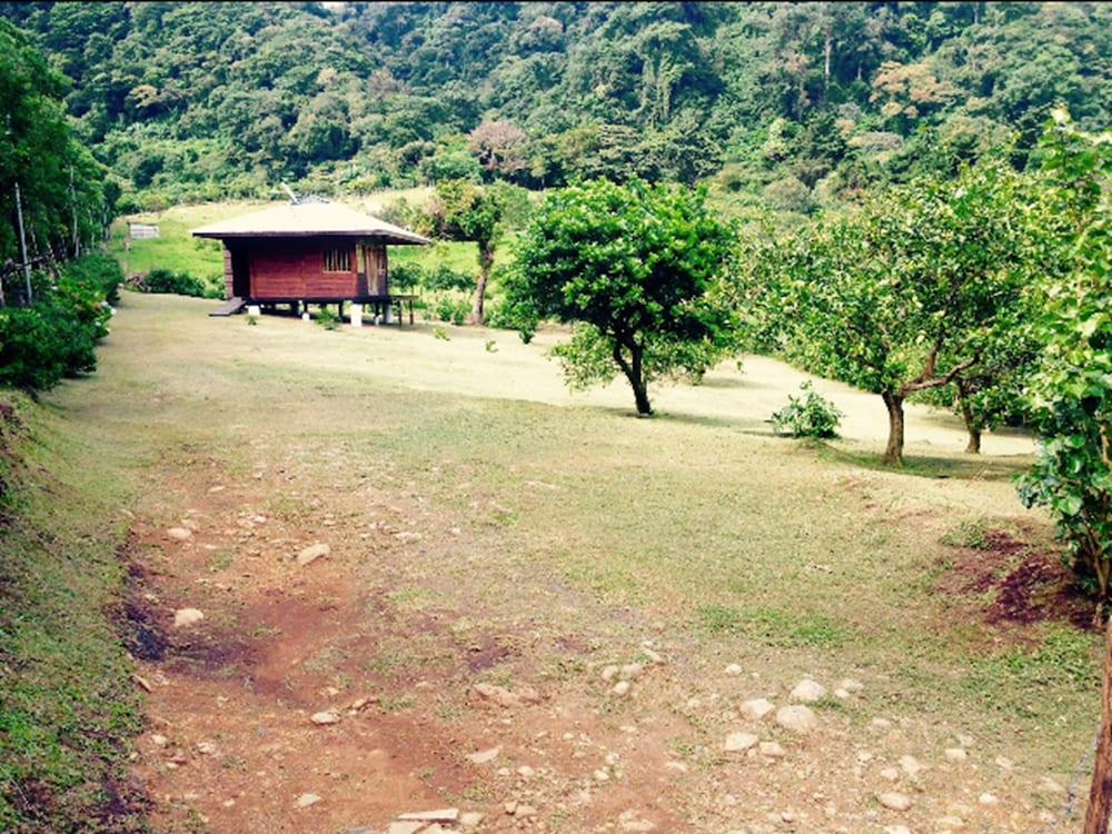 ليمون هاوس مونتيفيردي المنطقة المحيطة بالمنشأة