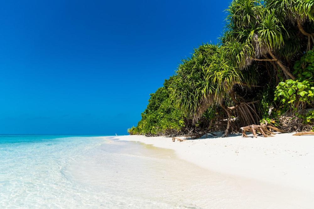 فيلا كامادو