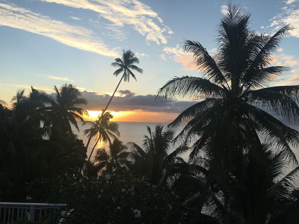 Taveuni Palms Property Grounds