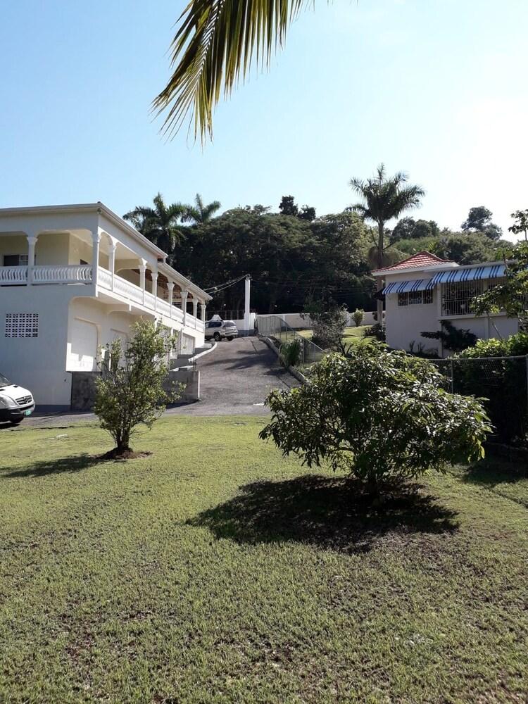 Rose View Apartment Montego Bay Property Grounds