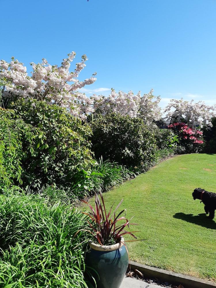 مابلز أون هاريوود المنطقة الخارجية