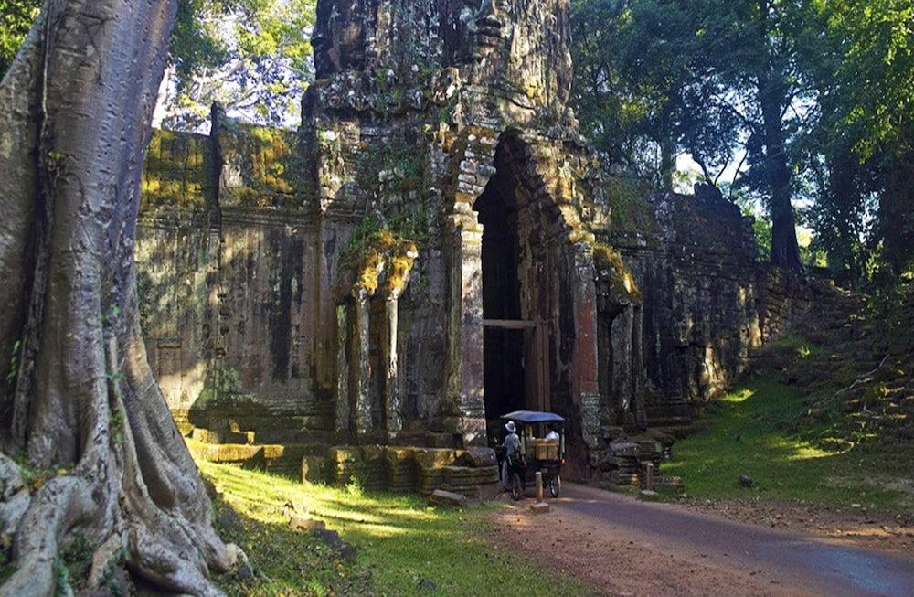 كمير مانشن ريزيدنس المنطقة المحيطة بالمنشأة
