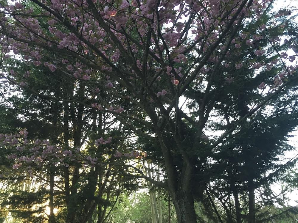 لا فيرمي ديه مولينو دو بايلي المنطقة الخارجية