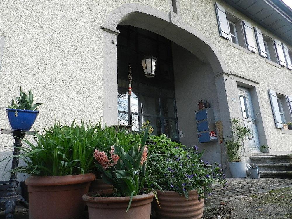 بلو وول بد آند بريكفاست - بيزنس أبارتمنتس المنطقة المحيطة بالمنشأة