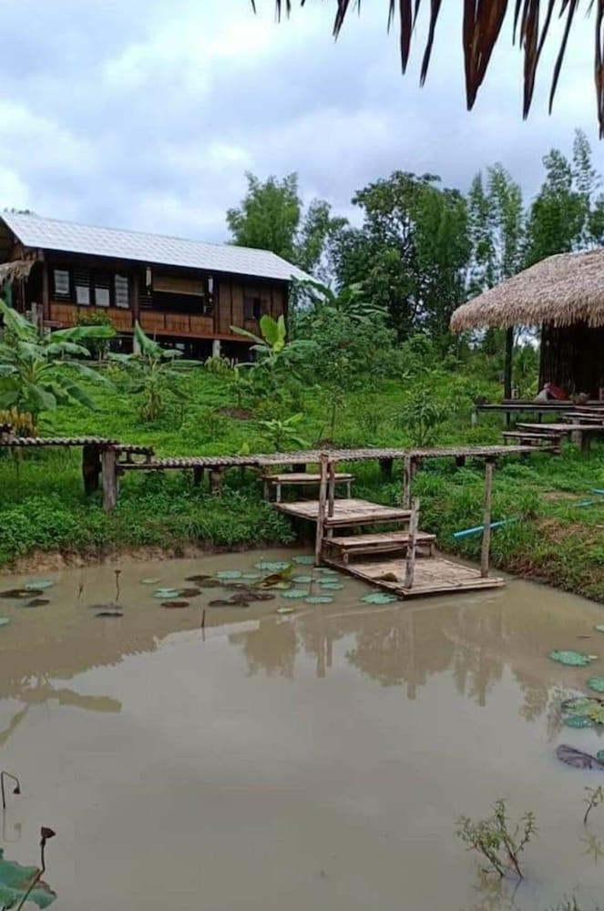 إن سوان سين