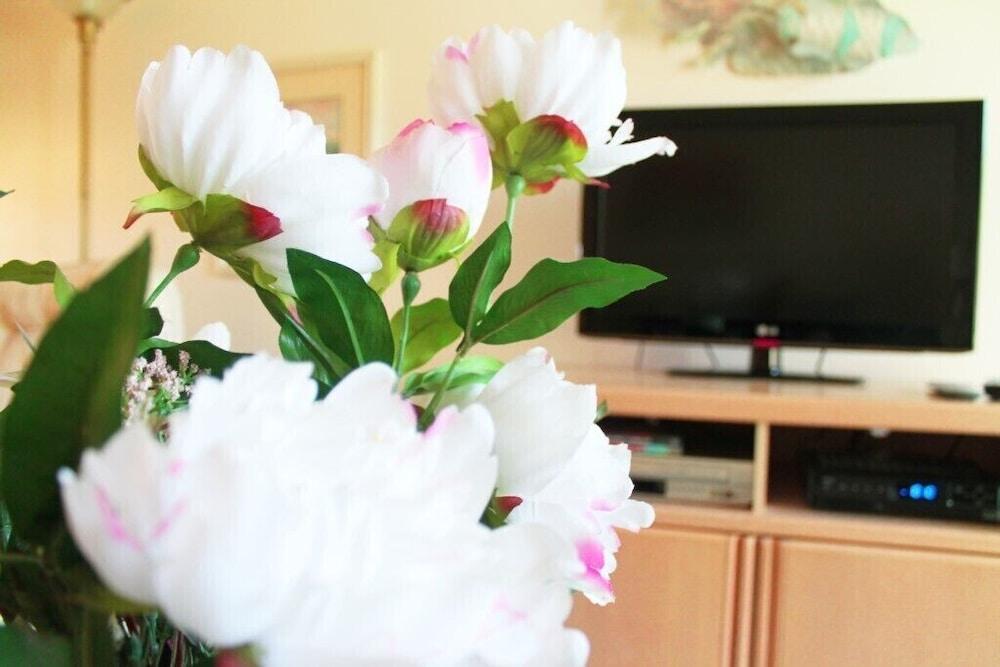 ويستريدج كوندو الصورة الأساسية