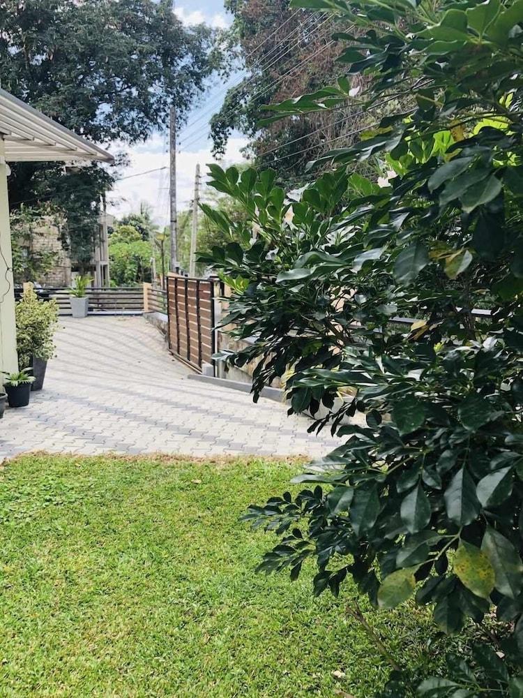 The Tamarind Property Grounds