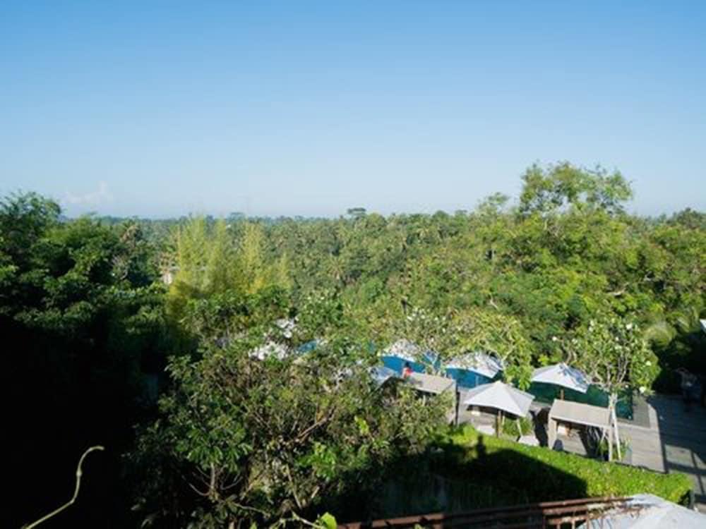 Bisma Eight Ubud Aerial View