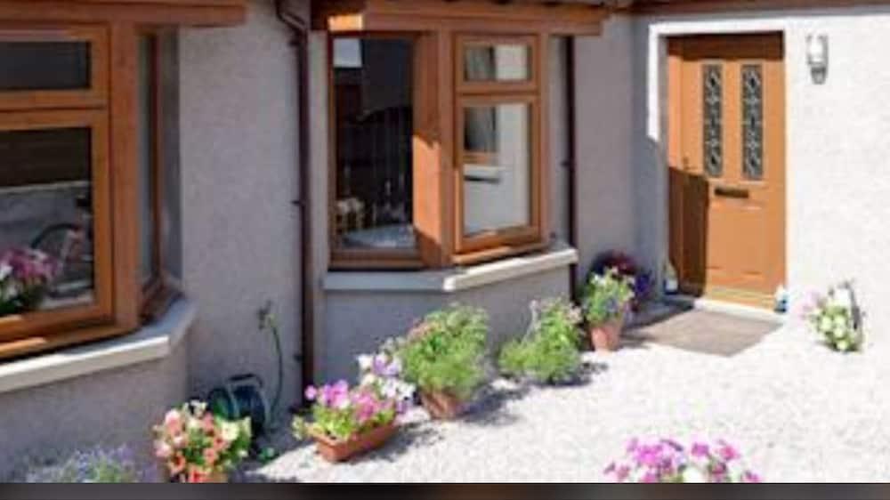 ذا بيتش كومبر