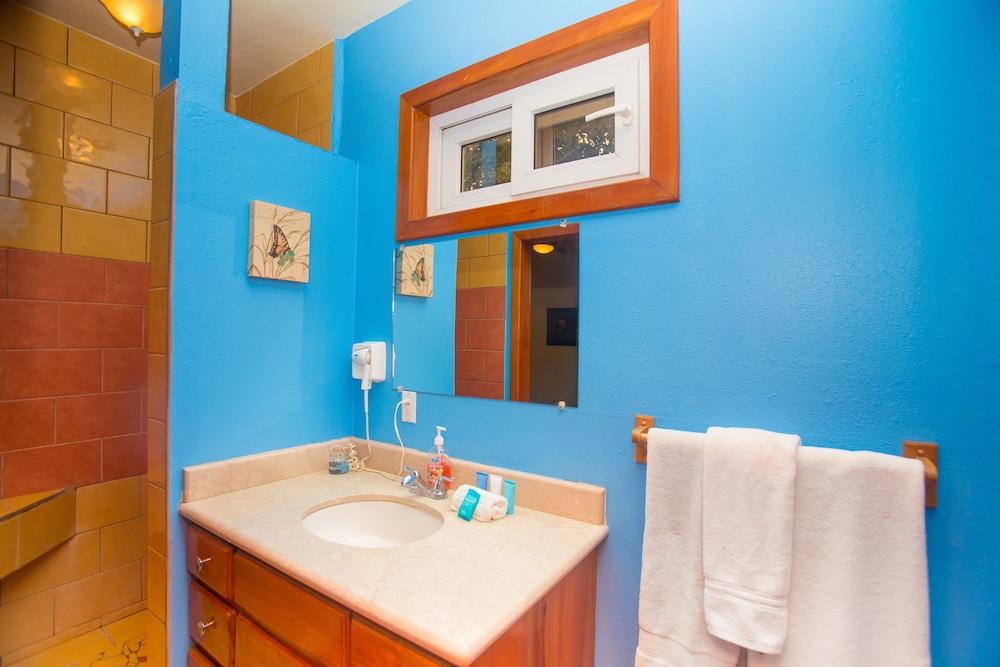 تورتل كازا جيمنج سويت