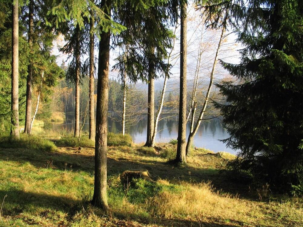 فاميلي فريندلي هوليداي هوم إن فيتشتلبرج نير ليك المنطقة الخارجية