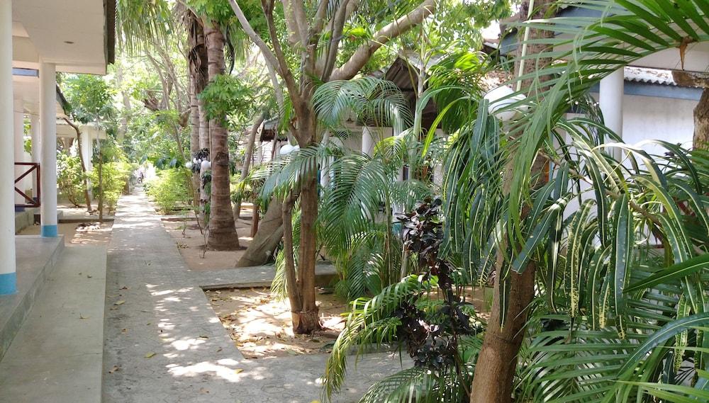 Hangloose Arugambay Interior Entrance