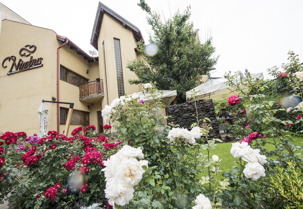 Pensiunea Nimbus Exterior detail