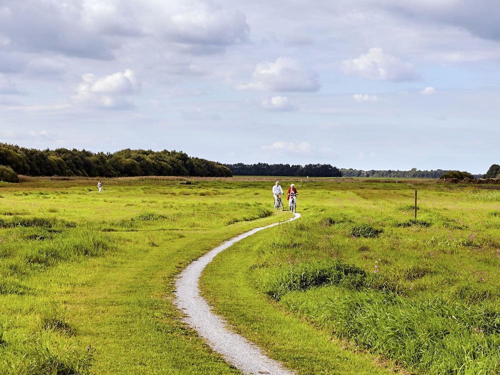 An Atmospheric Guest House on the Grounds of a Farm House in Eexterzandvoort Exterior