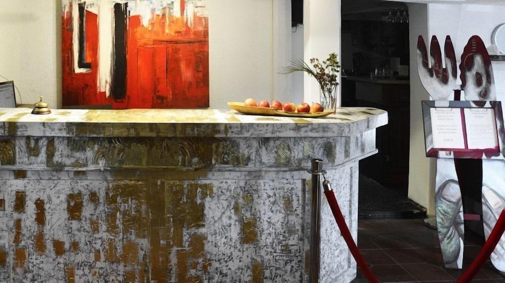 هوتل نولر هوف منطقة الاستقبال