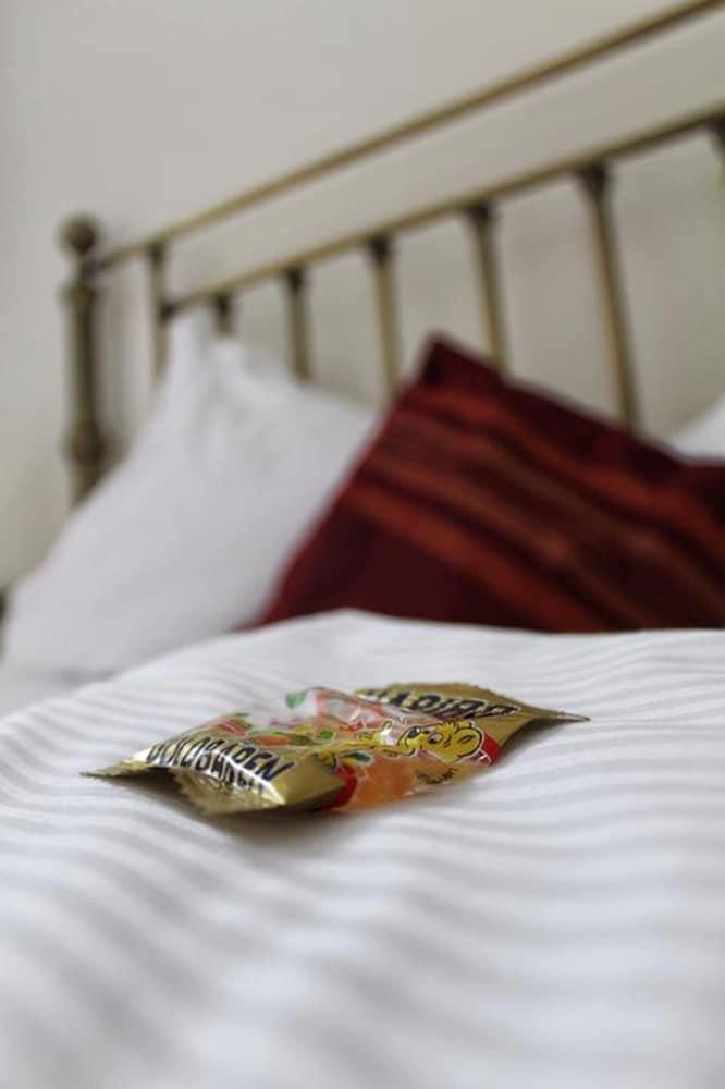 أكاتسينهوف هوتل آند براوهاوس غرفة