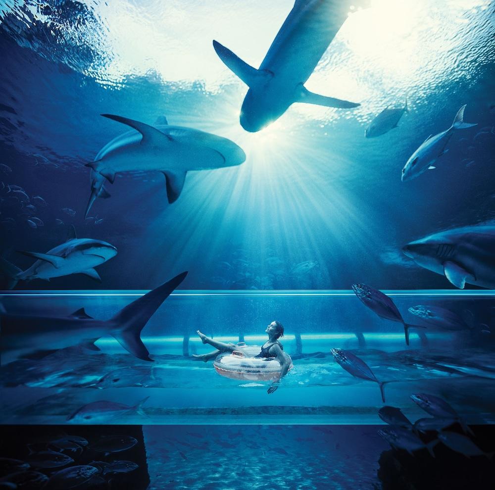 The Royal at Atlantis Pool