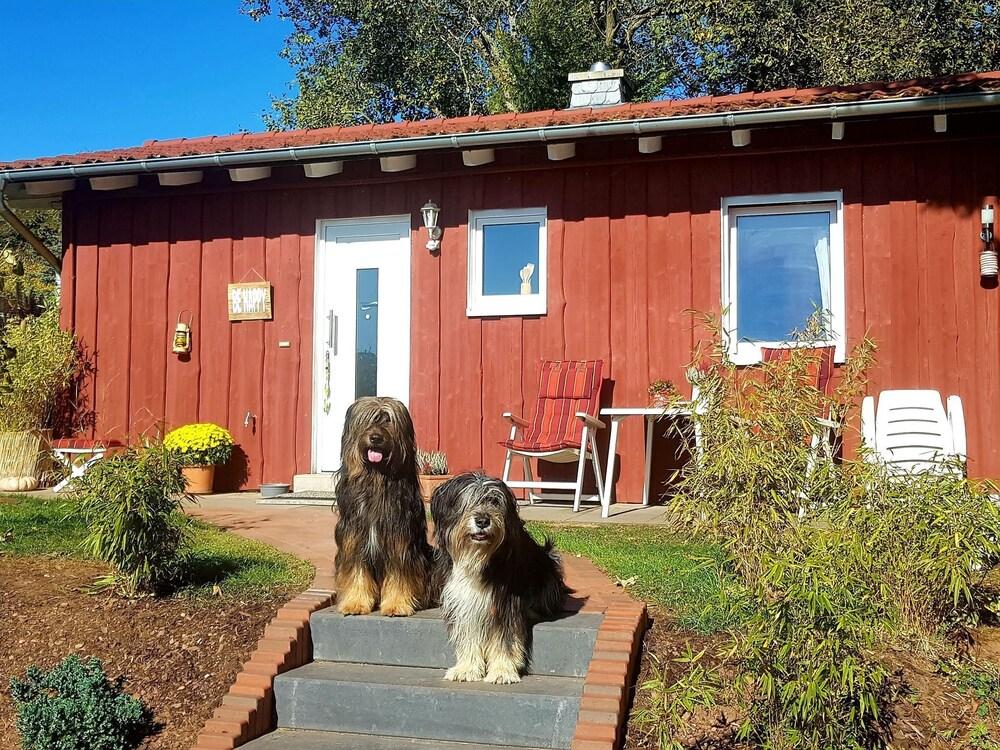 بليسفول هوليداي هوم إن\باتنبيرج ويذ فينسيد جاردن المنطقة الخارجية