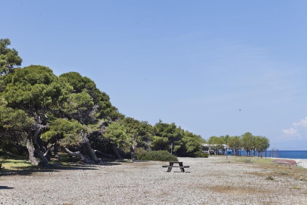 دافنيز كلوب هوتل آبارتمينتس الشاطئ