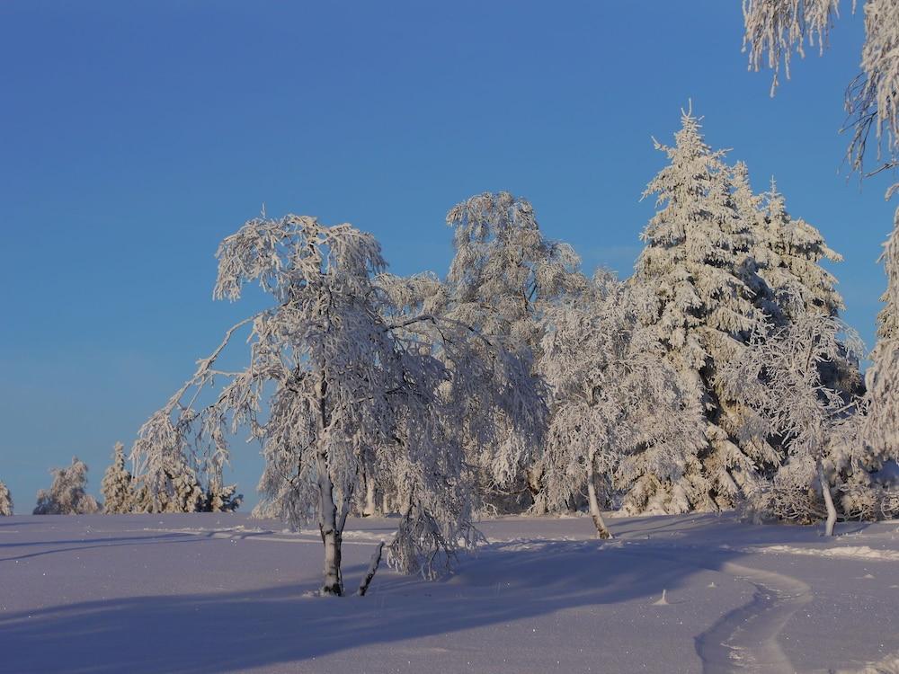 بليسفول هوليداي هوم إن\باتنبيرج ويذ فينسيد جاردن المنطقة الخارجية