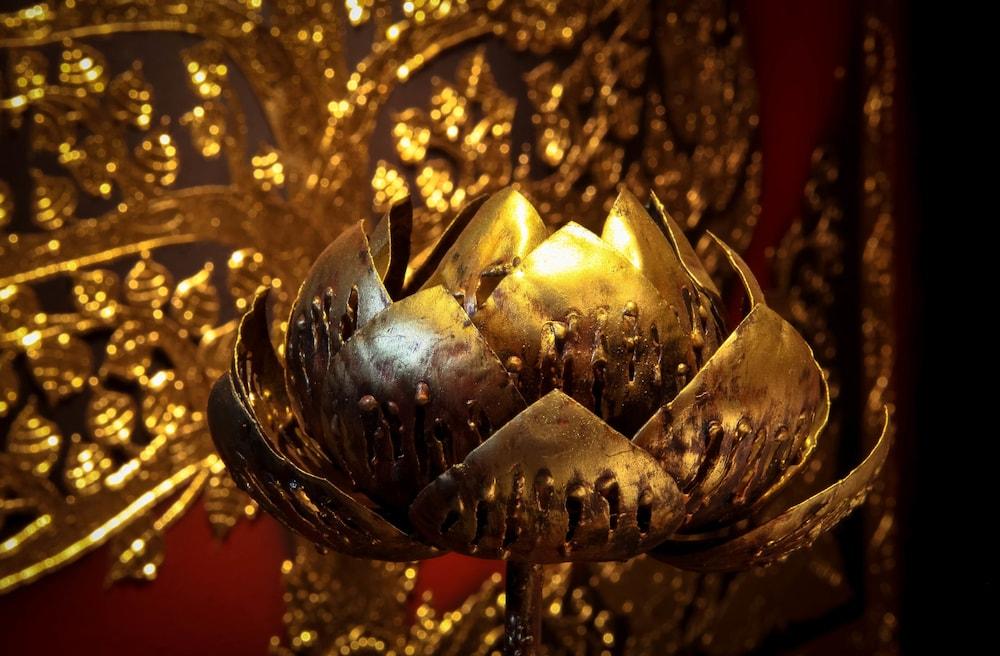 سينجا مونترا لانا بوتيك ستايل هوتل تفاصيل الفندق من الداخل