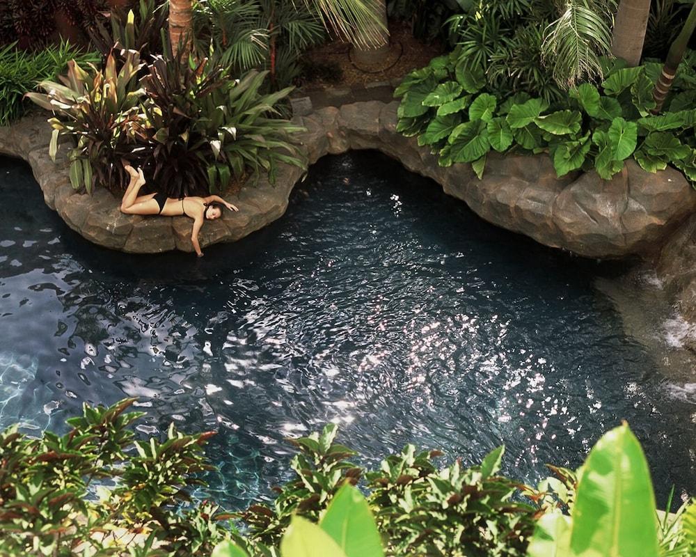 كورا هولاندا فيليدج آند سبا الصورة الأساسية