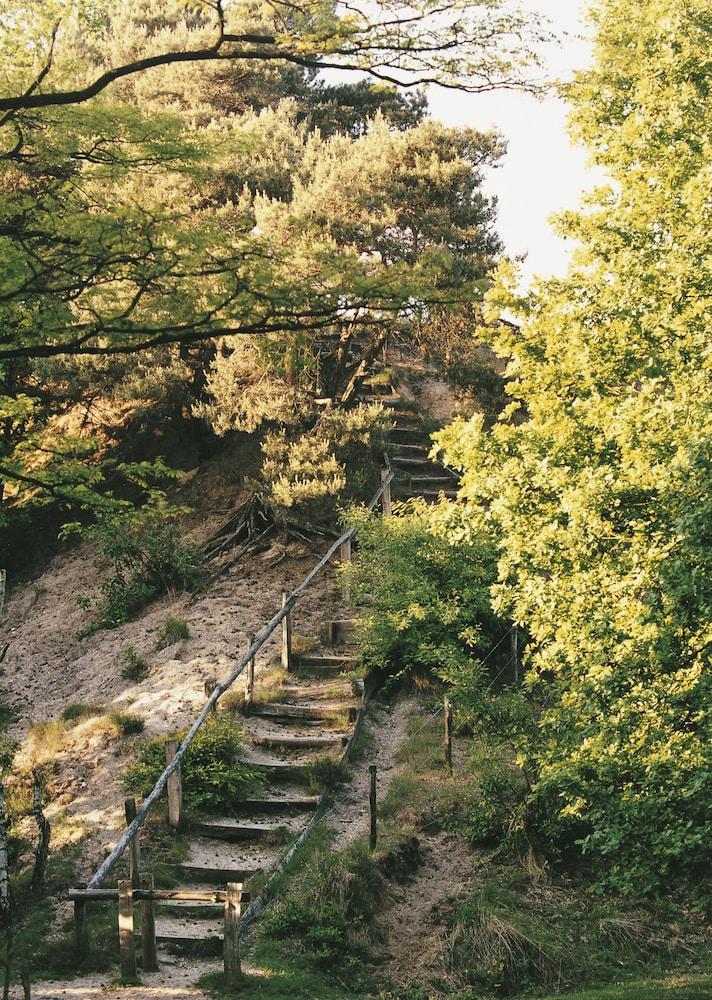 هوتل دو مولوهوك - نايميخه المنطقة المحيطة بالمنشأة