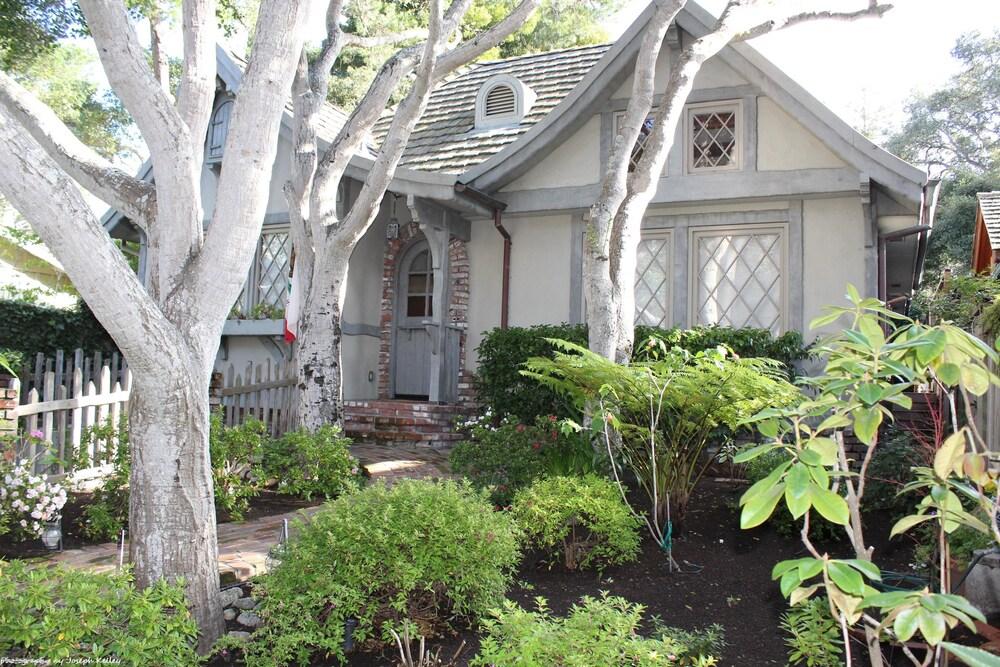 نوبوديز بيرفيكت - إن ذا هارت أوف ذا جولدن ريكتانجل - 5 بلوكس تو بيتش آند تاون نو هيلز! المنطقة المحيطة بالمنشأة