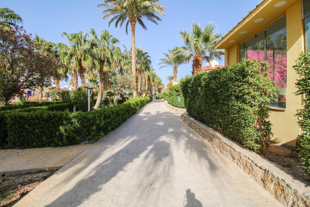 منتجع أكوا فيو أبارتمنت ريزورت آند أكوا بارك المنطقة الخارجية