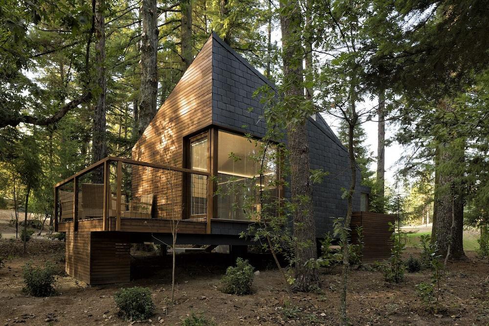 بيدراس سالجاداس سبا آند ناتشر بارك