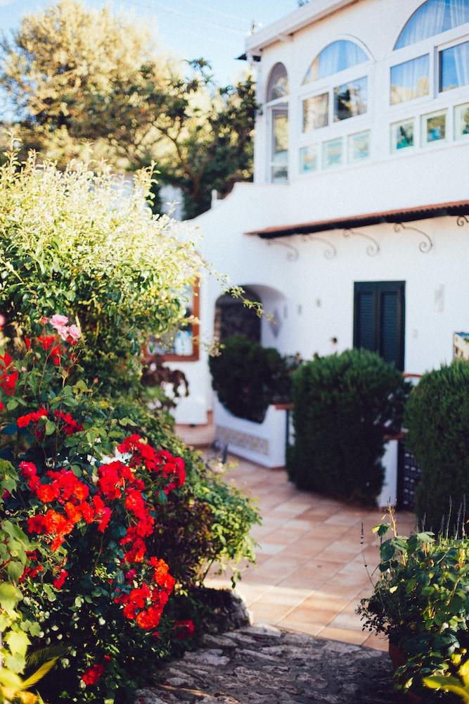 إيل جاردينو ديلا آرت - جيست هوتل المنطقة المحيطة بالمنشأة