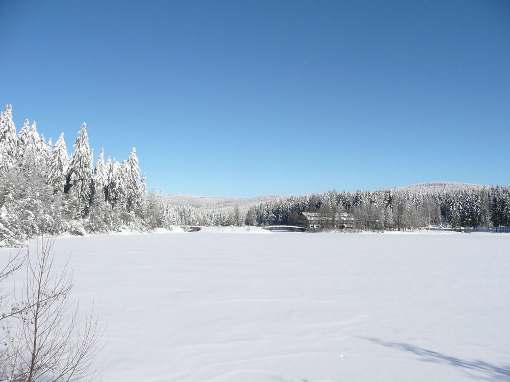 فاميلي فريندلي هوليداي هوم إن فيتشتلبرج نير ليك المنطقة الخارجية