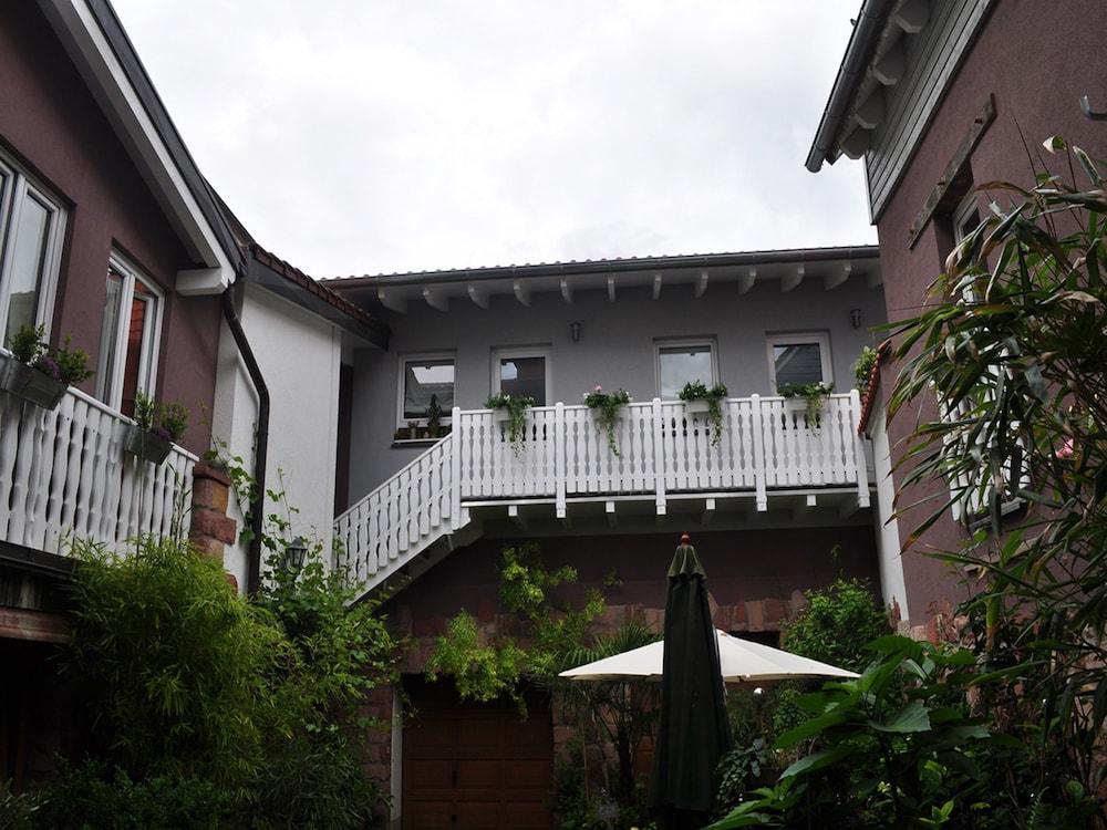 هوفجارتن روزا