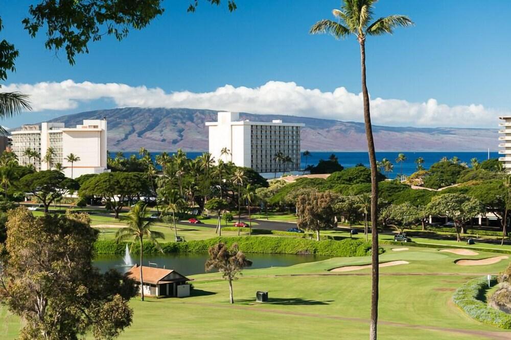 كانابالي رويال نمبر إن 302 تو بيد روم كوندو باي ريداونينج الصورة الأساسية