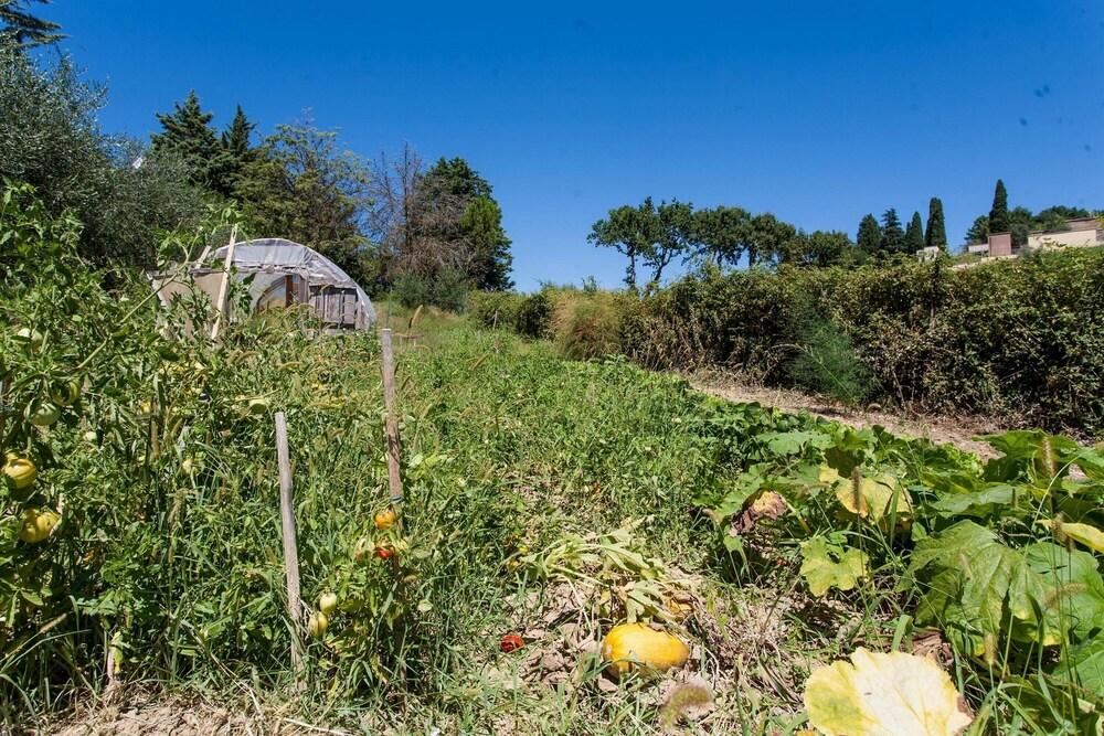 بوديري كالداروتشيو لا بينيتا - بنجالو المنطقة المحيطة بالمنشأة