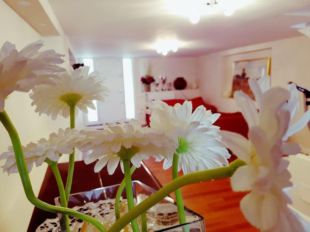 بي آند بي بومبي روينز ديه شارم منصة تسجيل إجراءات الوصول/المغادرة