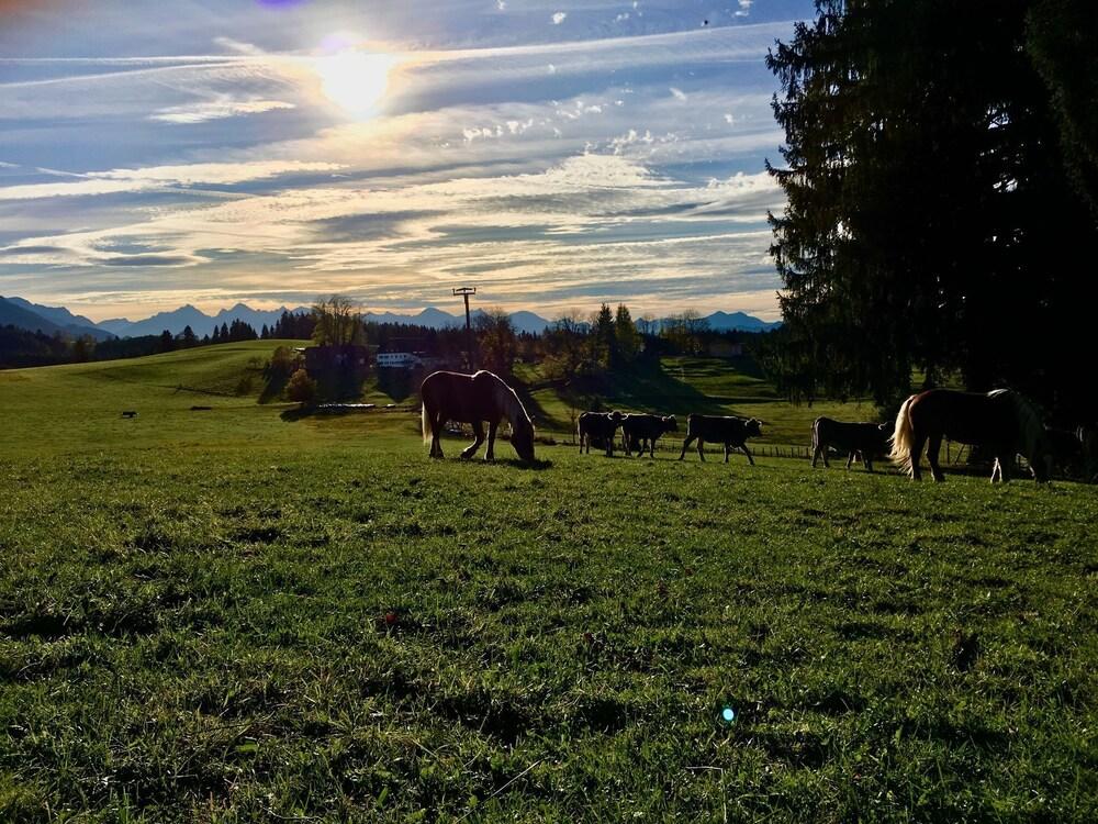 Modern Apartment in Lindegg With Balcony Exterior