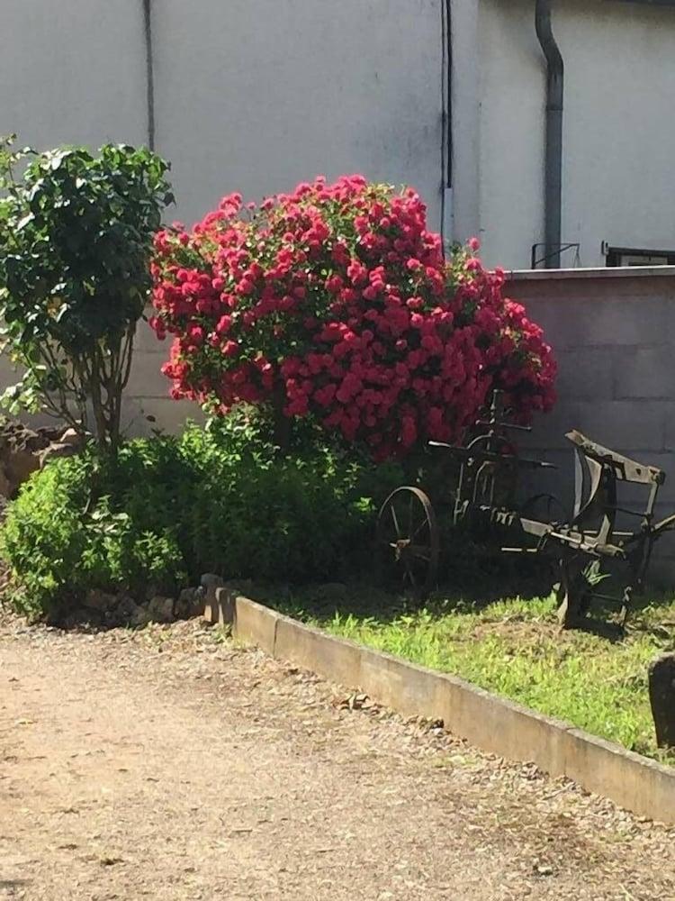 بين فينيو آه لا كامبين المنطقة الخارجية