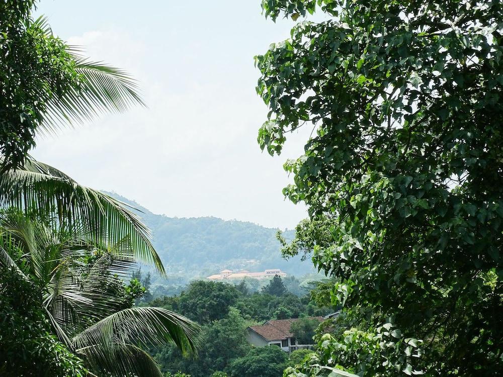 ذا بيناكل فاين أكوموداشن المنطقة المحيطة بالمنشأة