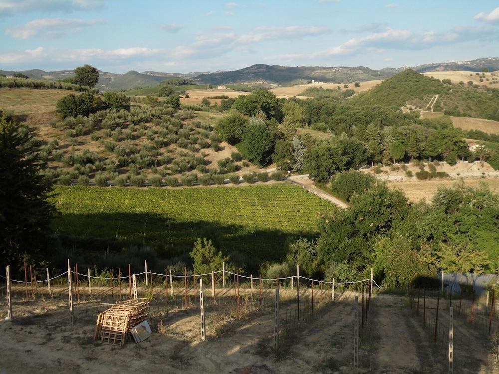 بوديري كالداروتشيو لا بينيتا - بنجالو المنطقة المحيطة بالمنشأة