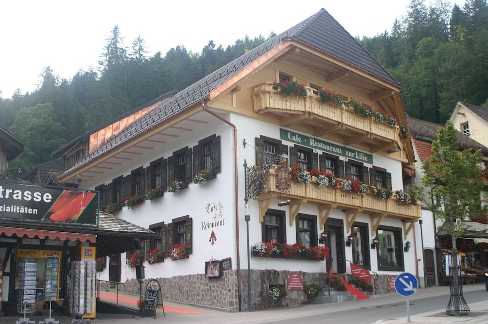 جاستهاوس تسور ليلي