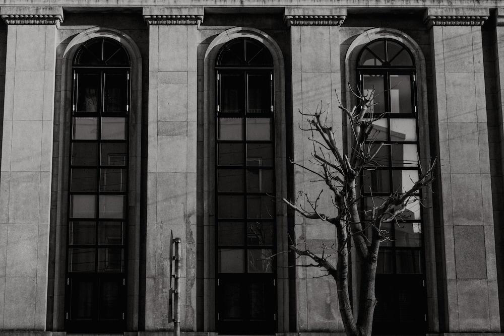 هاكوبا هاكوديت باي ذا شير هوتلز المنطقة الخارجية