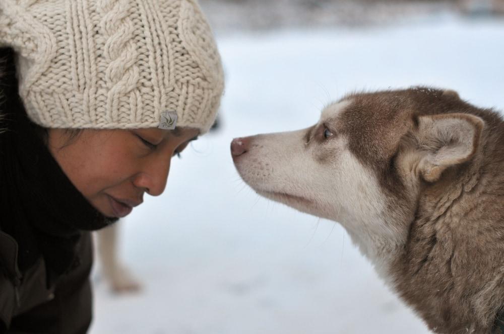 ويلدرنيس هوتل نيليم آند إيجلوز المنطقة المحيطة بالمنشأة